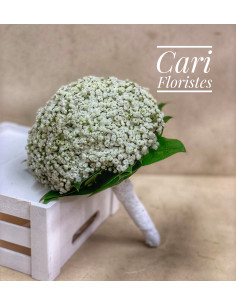 Ramo novia paniculata