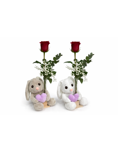 Peluche conejo + rosa