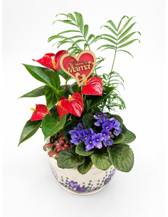 Taza planta grande