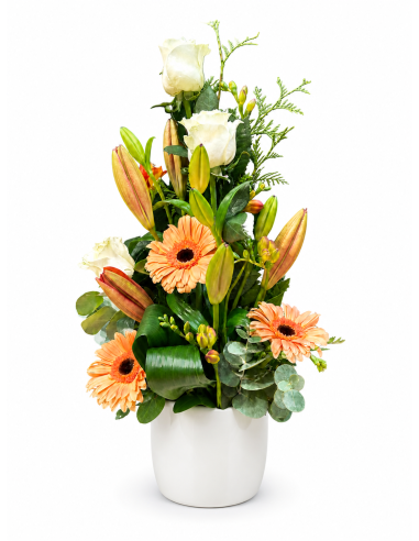 Melodia floral